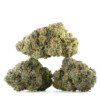 Buy LA Kush Cake Strain Online Green Society
