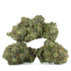 Buy MK Ultra Strain Online Green Society