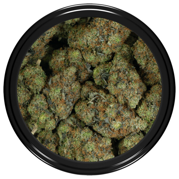 Buy Pink Venom Strain Online Green Society