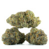 Buy Rainbow Cake Strain Online Green Society