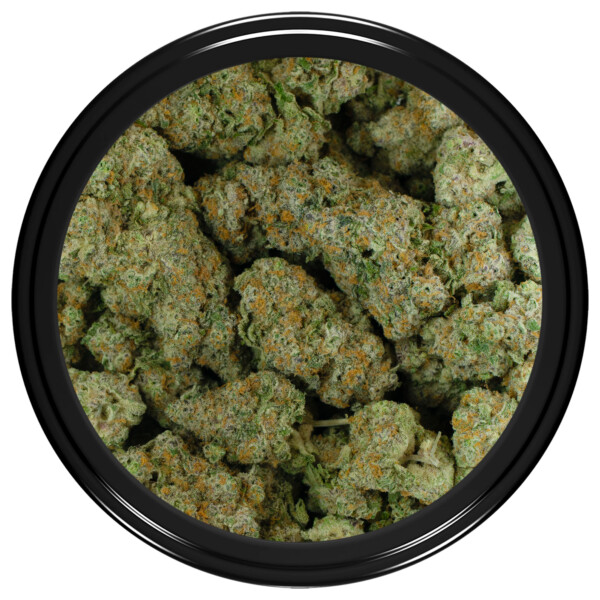 Buy White Caviar Strain Online Green Society