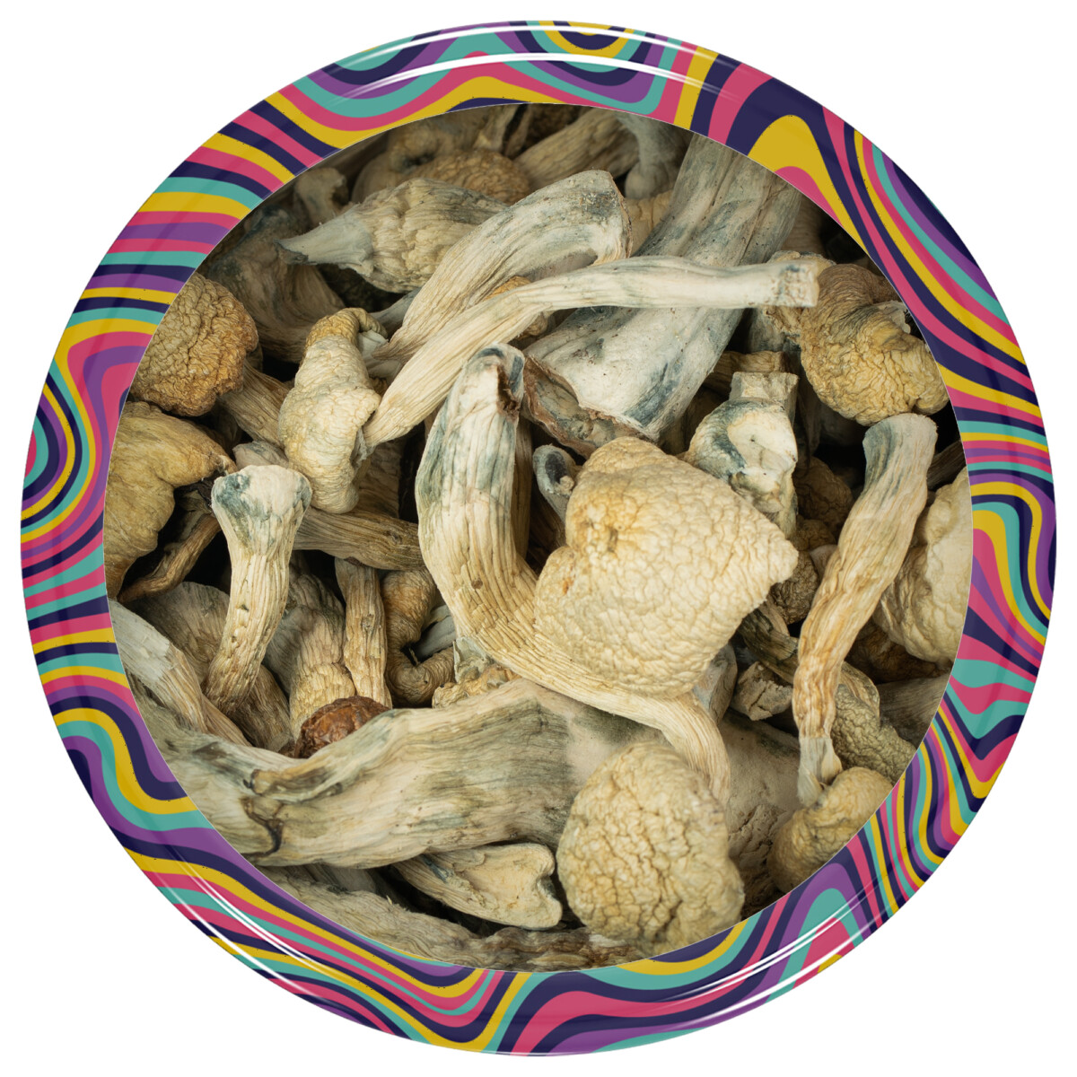 Buy Albino A+ Mushrooms Online Canada Green Society