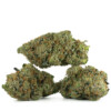 Buy Comatose OG Strain Online Green Society