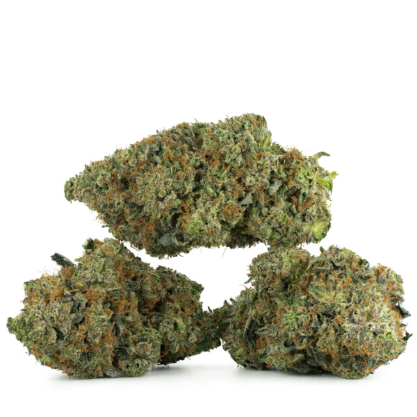 Buy Comatose OG Strain Online Green Society