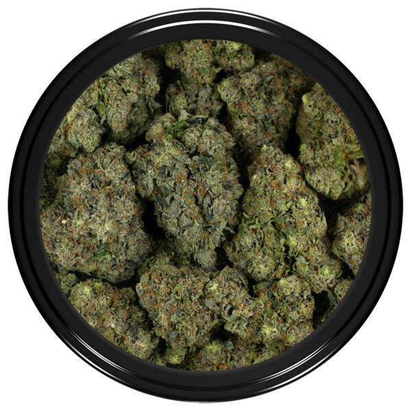 Buy Gucci Pink Kush Strain Online Canada Green Society