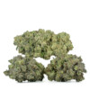 Buy Kali Mist Strain Online Green Society