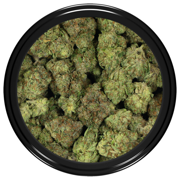 Buy Lazer Fuel Strain Online Canada Green Society