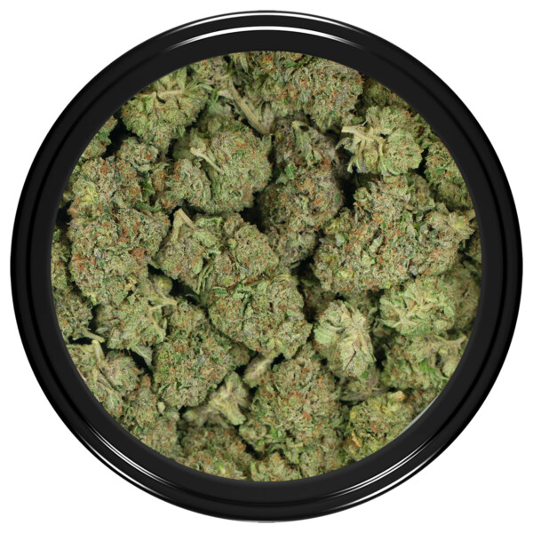 Buy Northern Lights Strain Online Green Society