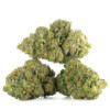 Buy Northern Lights Strain Online Green Society