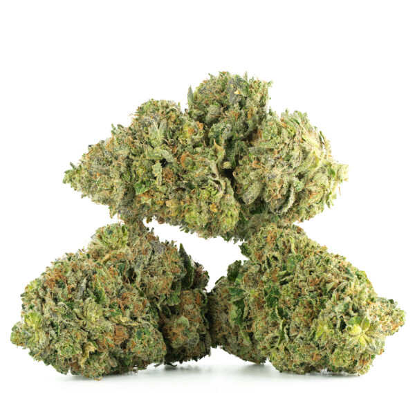 Buy Northern Lights Strain Online Green Society