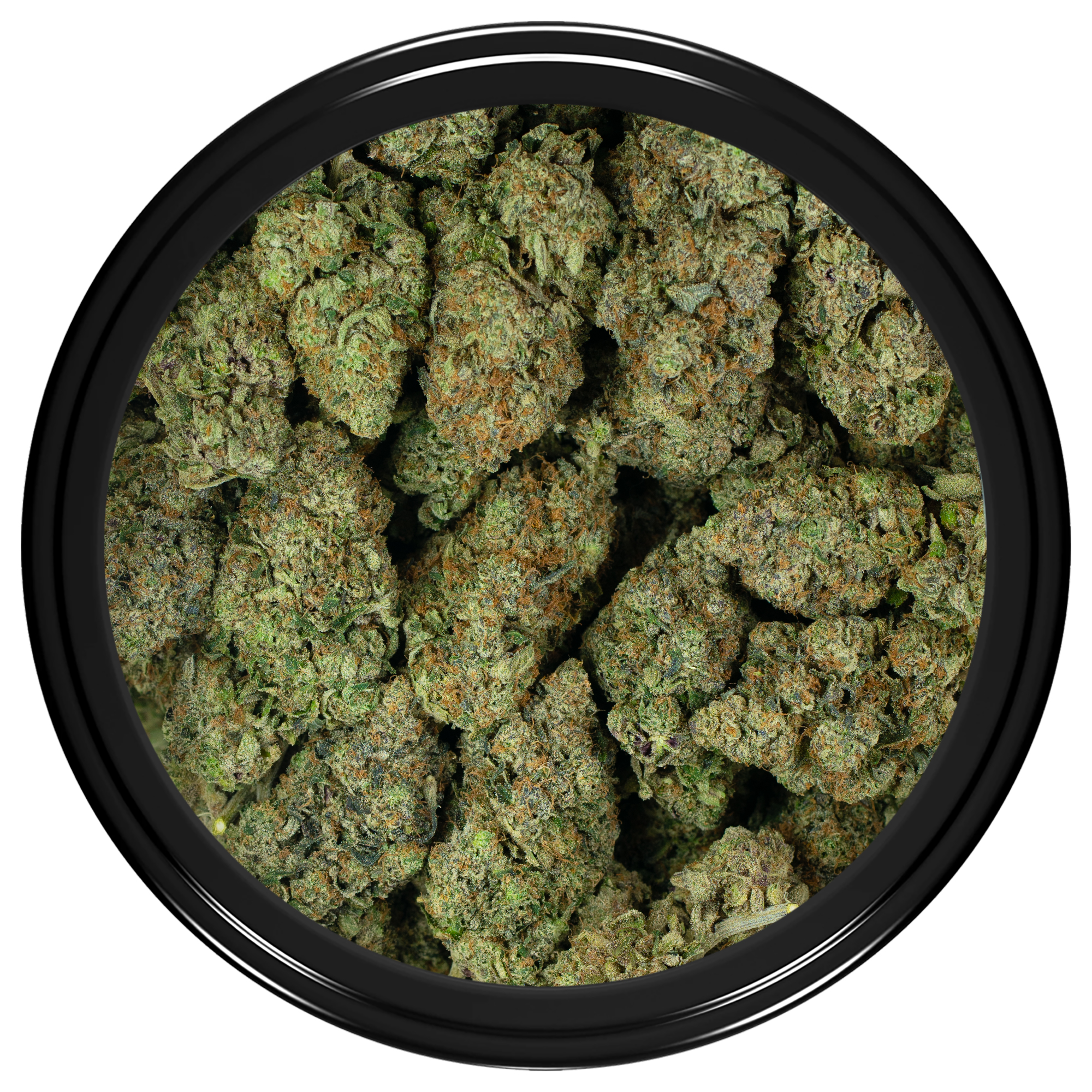 Buy Platinum Rockstar Kush Strain Online Green Society