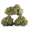 Buy Platinum Rockstar Kush Strain Online Green Society