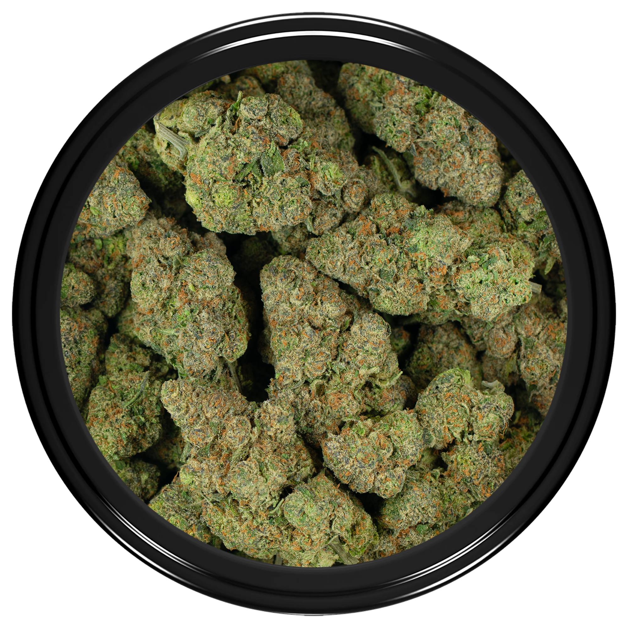 Tangie Goji - Image 2