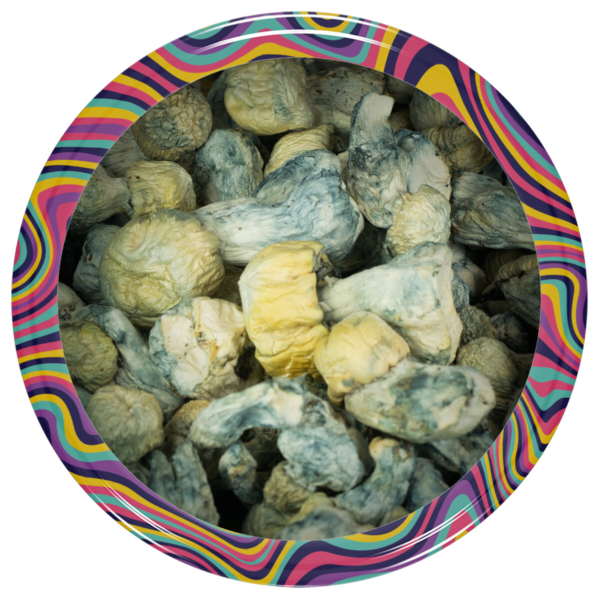 Buy Blue Ghost Mushrooms Online Green Society