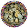 Buy Flippers Mushrooms Online Green Society