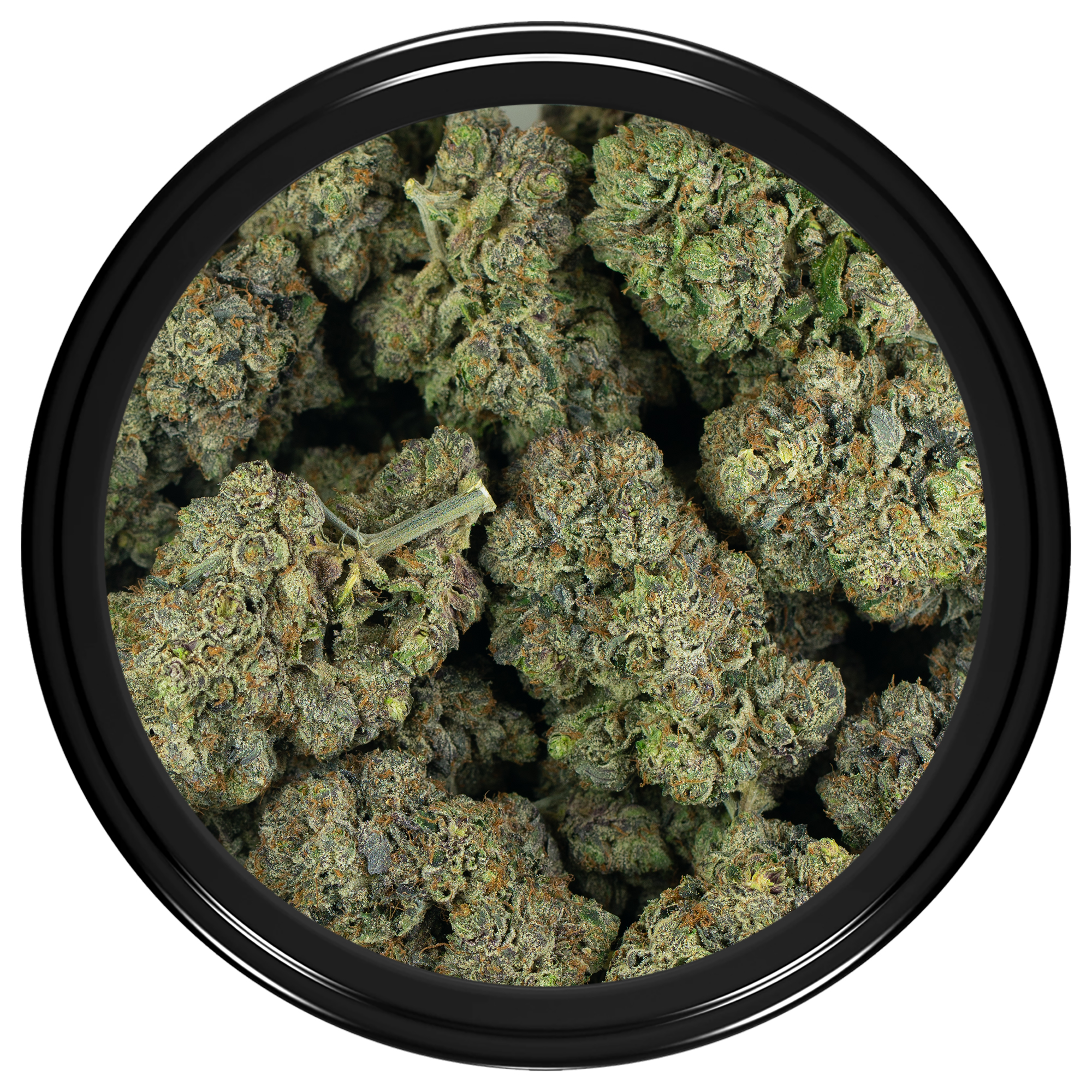 Gas Chamber by Pluto Craft Cannabis - Image 2