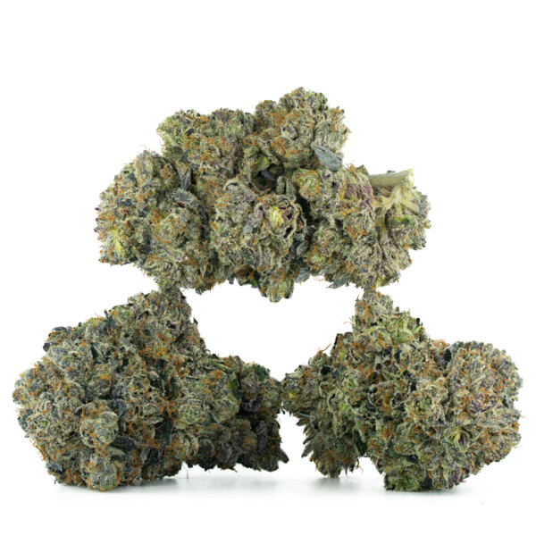 Buy Gas Chamber Strain Online Canada Green Society