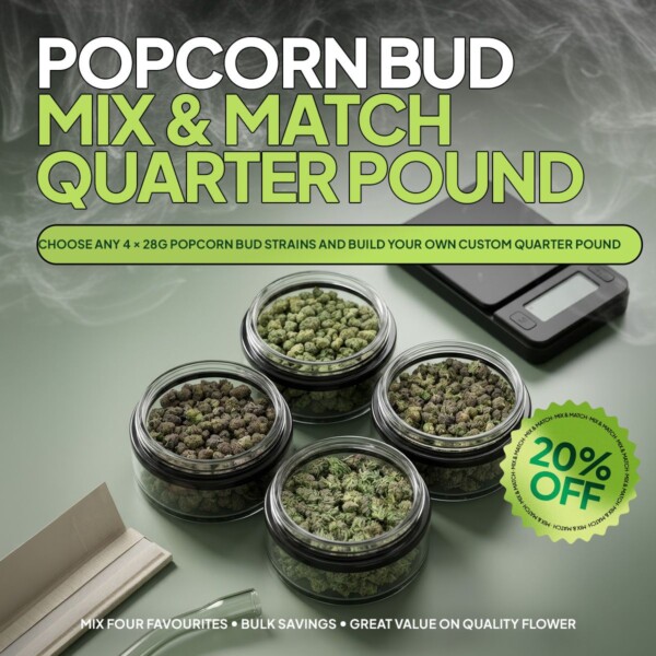 Buy Popcorn Buds Online Green Society