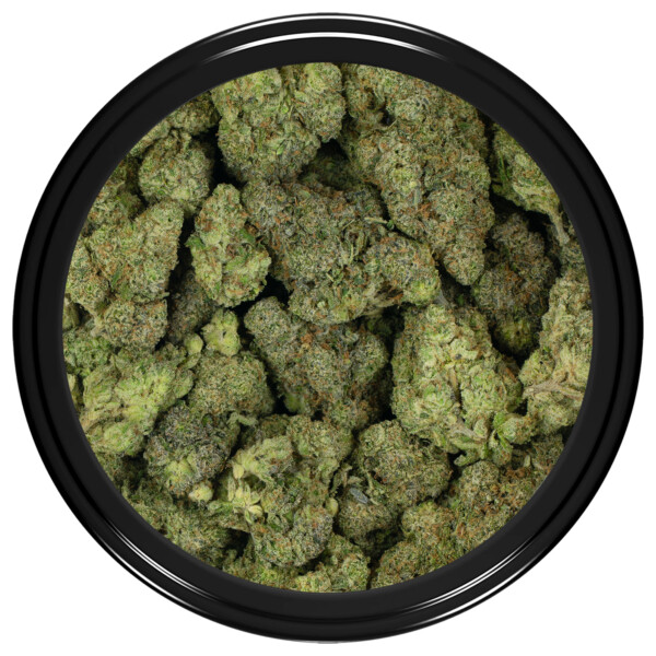 Buy Sweet Amnesia Strain Online Green Society