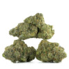 Buy Sweet Amnesia Strain Online Green Society
