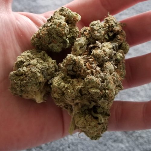Papaya Punch #2 by Oni Seeds photo review