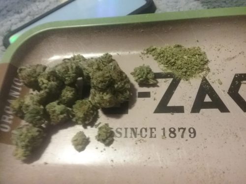 1613615693718575398464