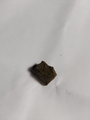 20210203 190533