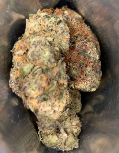 93b1a9a1 3a07 4bd7 Ace7 B1da10fda7e8