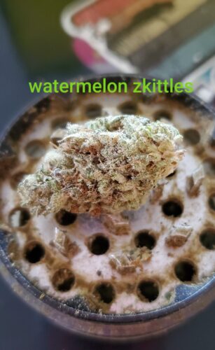 Watermelon Zkittlez photo review
