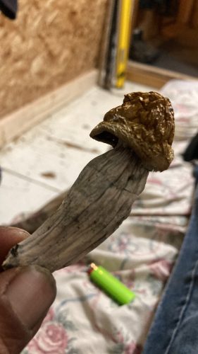 951576f9 65a5 4f33 852f 82b710f0c165