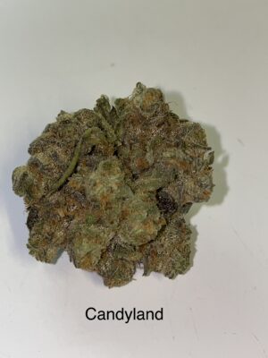 Candyland photo review