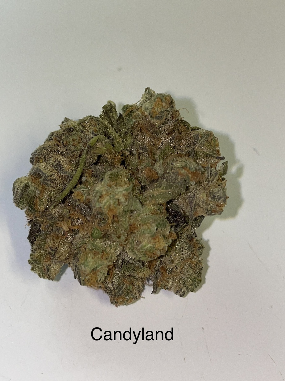 Candyland Strain Buy Weed Online Green Society