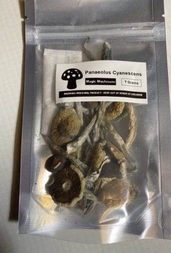 Eea12f72 E2f5 4bb4 85de 946a83c2ca8c