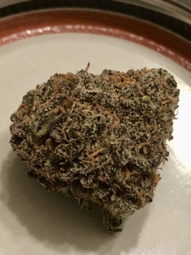 Do-Si Cake by Archive Seed Bank photo review