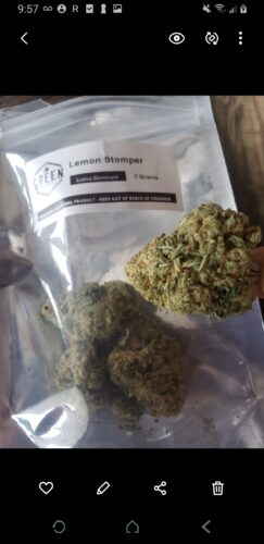 Lemon Stomper photo review