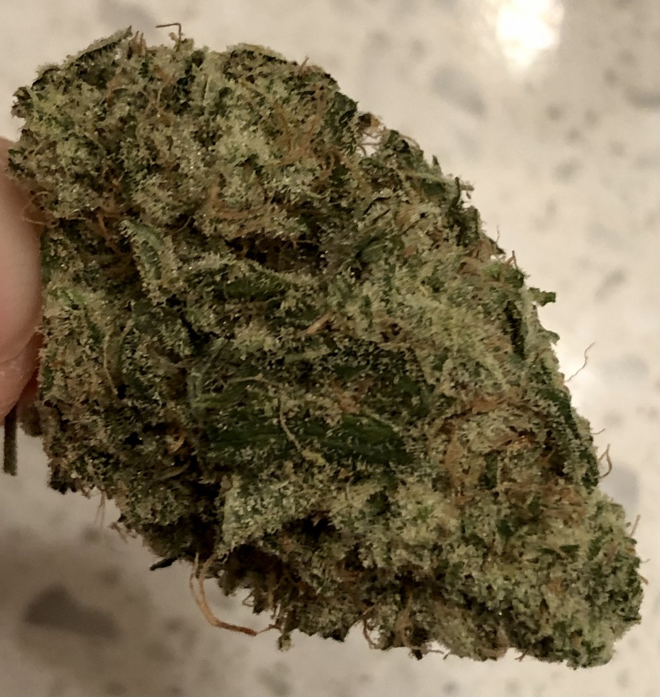 Melonade Strain Buy Weed Online Green Society