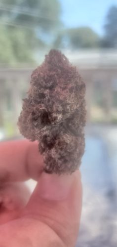 Black Truffle (Smalls) photo review