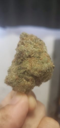 Honey Badger Haze Min