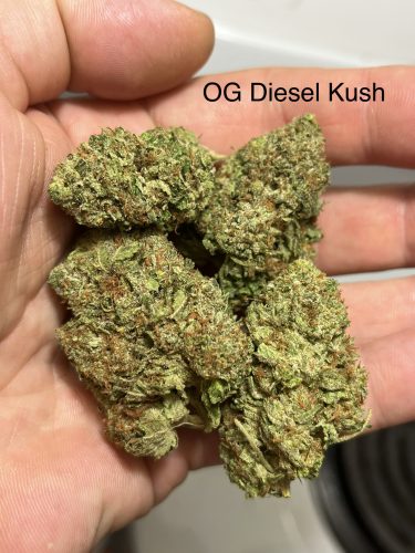 OG Diesel Kush photo review