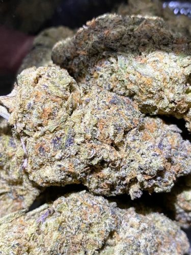 Fc2adff5 A95f 443f A7c3 26f46d178762