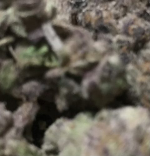 Ad49fbcd 9503 4cdc 8161 Fd477f15d435