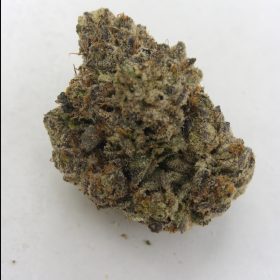 Img 20240105 121324 714