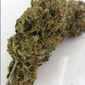 King Louis XIII photo review