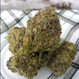 Img 20240209 132050 189