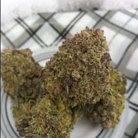 Img 20240209 132110 581