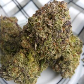 Img 20240209 132130 292