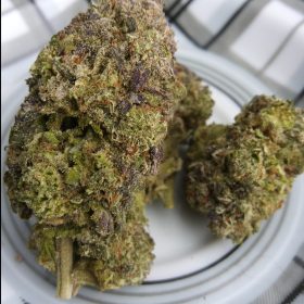 Img 20240209 132150 688