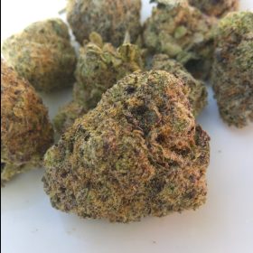 Img 20240213 135550 244