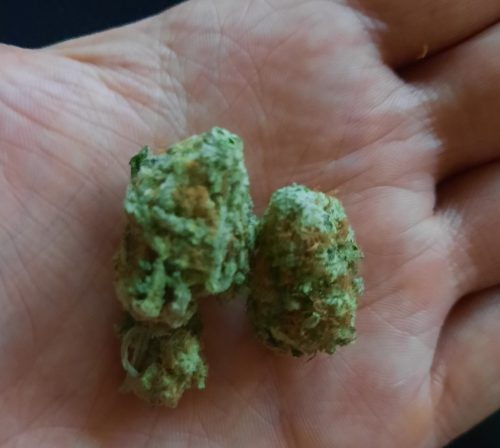 Forum Cut Girl Scout Cookies (Smalls) photo review