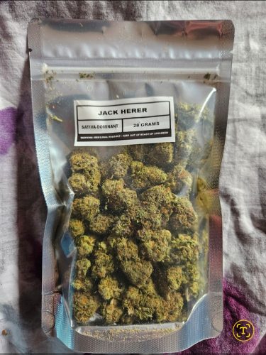 Jack Herer photo review